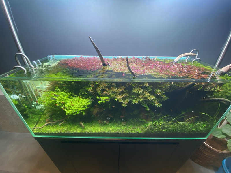 ぺーやんさんのSAUNA煌ｰKOUｰのサ活写真