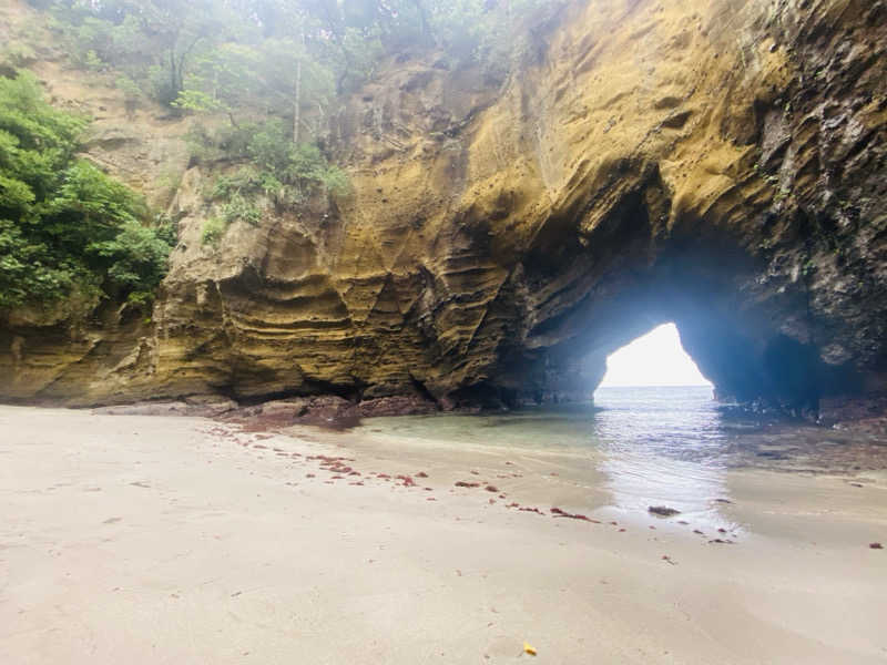 ぺーやんさんのSauna HealingDragon ヒーリングドラゴンのサ活写真