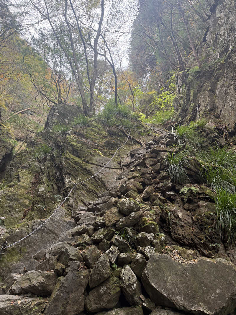 あまみ大臣さんのさわらびの湯のサ活写真