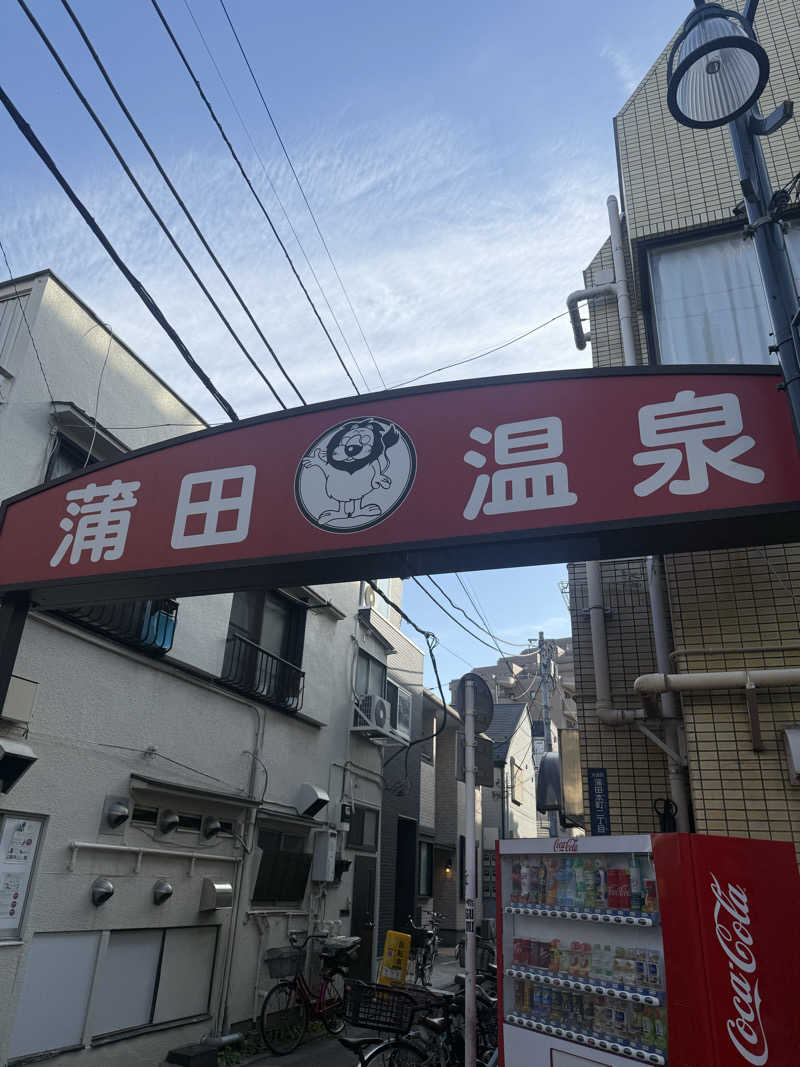 あまみ大臣さんの蒲田温泉のサ活写真