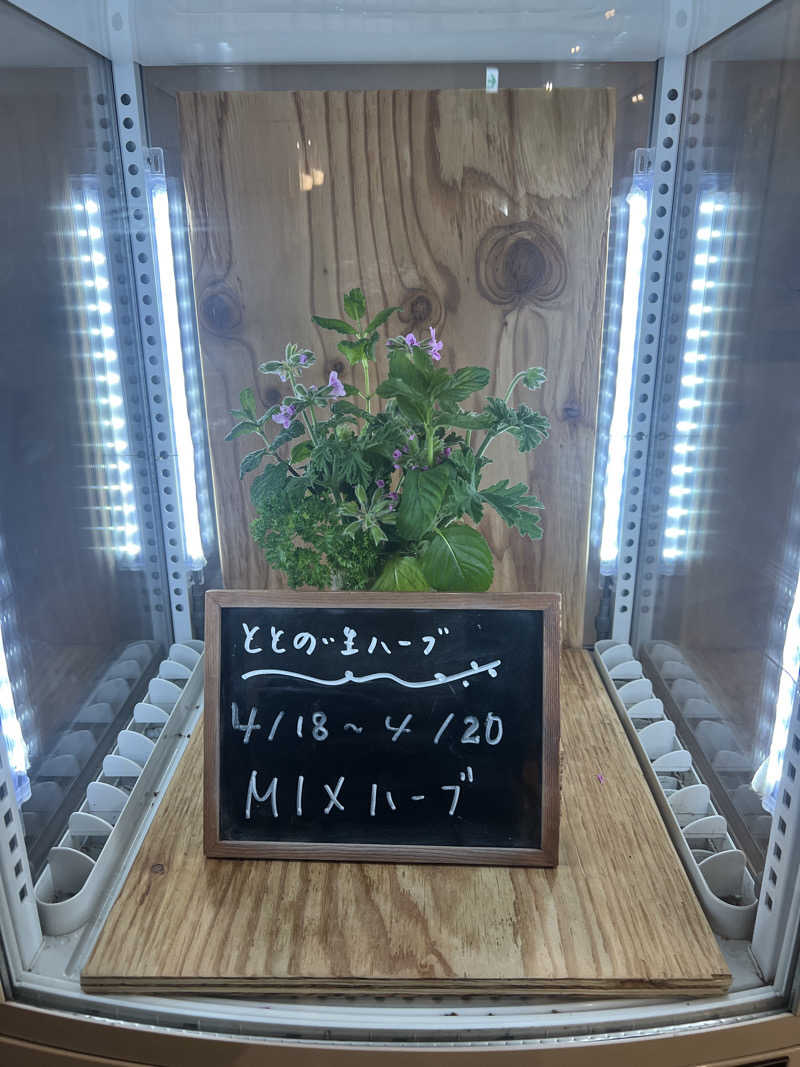いわさきさんの各務原 恵みの湯のサ活写真