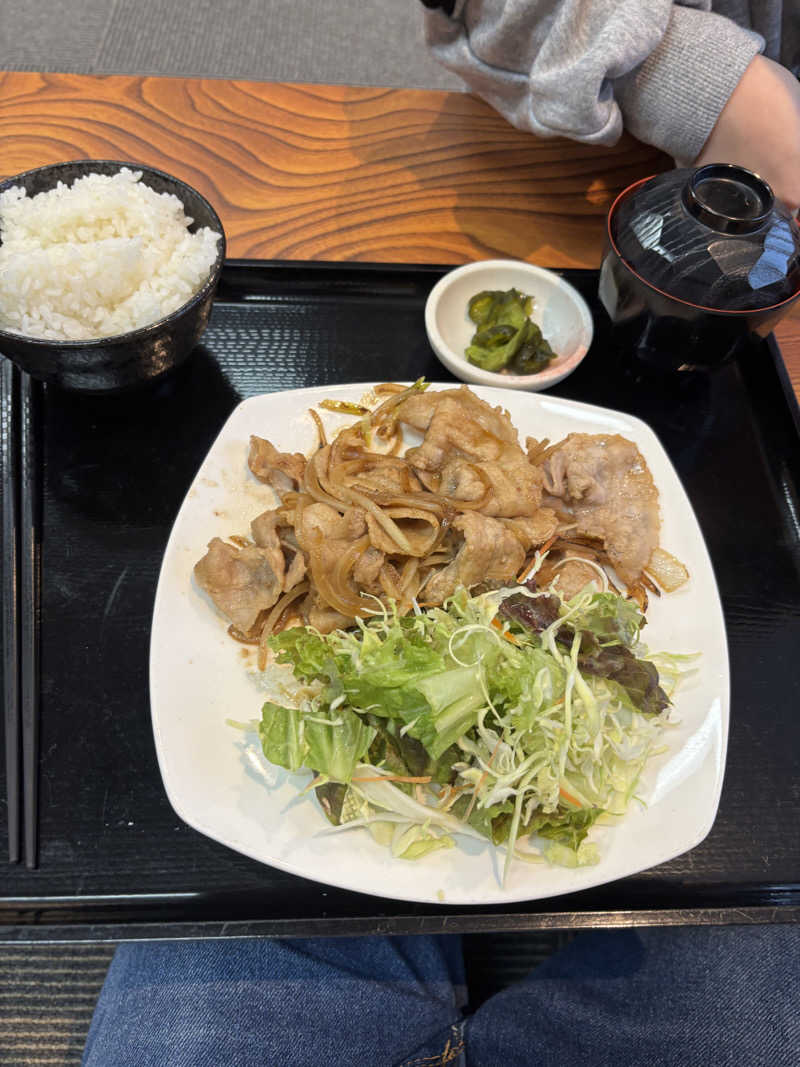 自由人さんのヘルシーシャトーのサ活写真