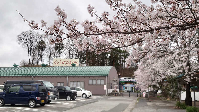 aguさんのひばり温泉のサ活写真