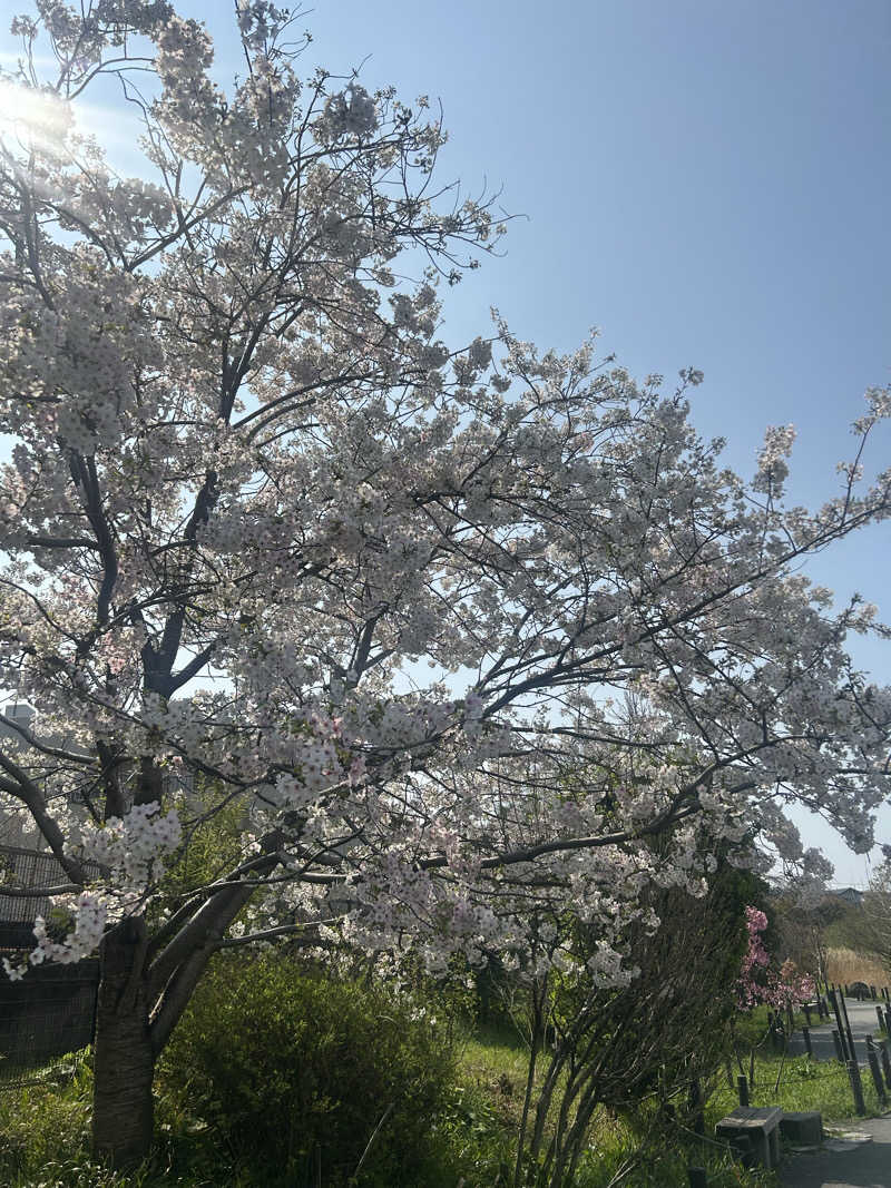 マカオさんのLuxury Fitness Club 【THE BLAZE FIT. MAGOME】のサ活写真