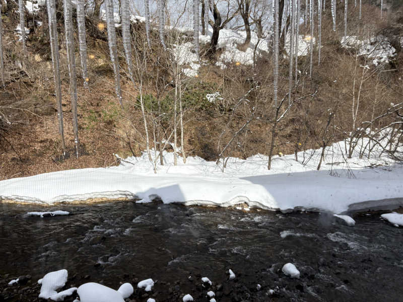 間宮康太さんの鉛温泉 藤三旅館のサ活写真