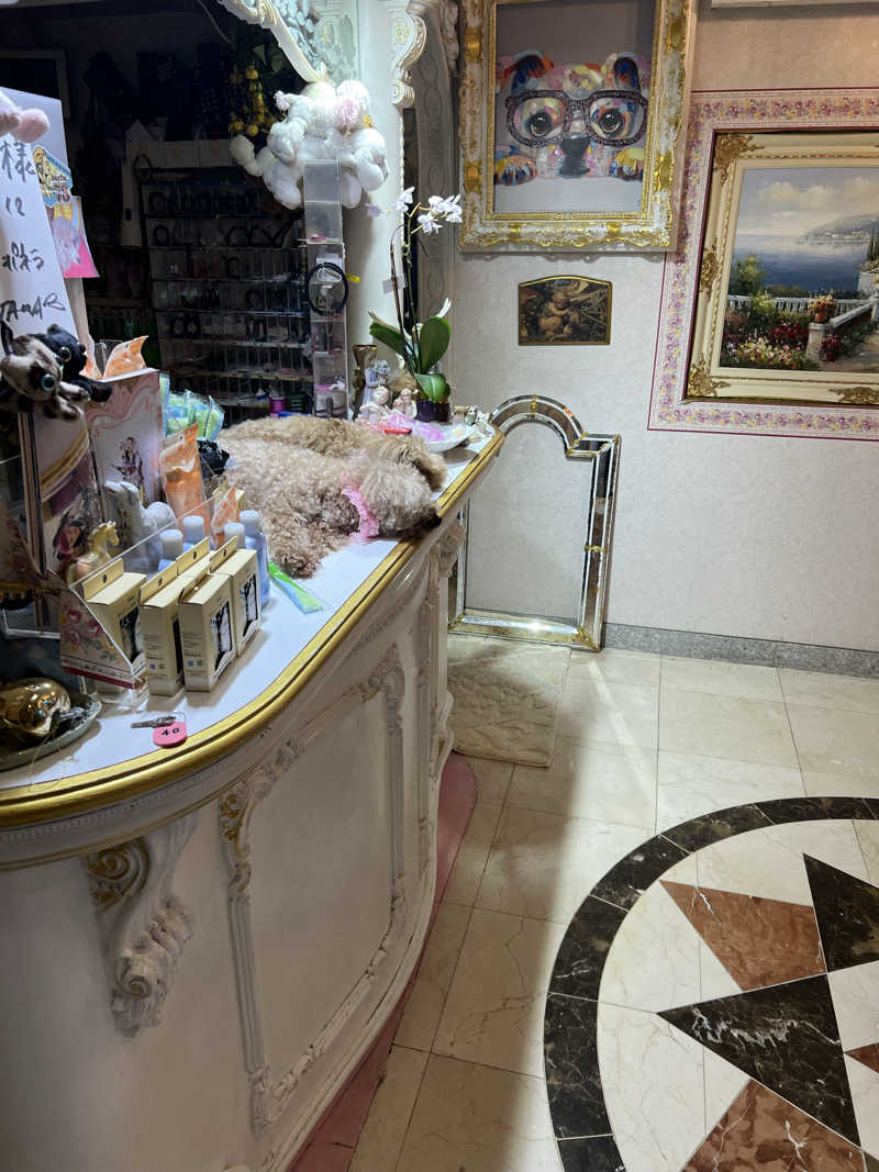 さうにゃんば^._.^さんのクアパレスのサ活写真