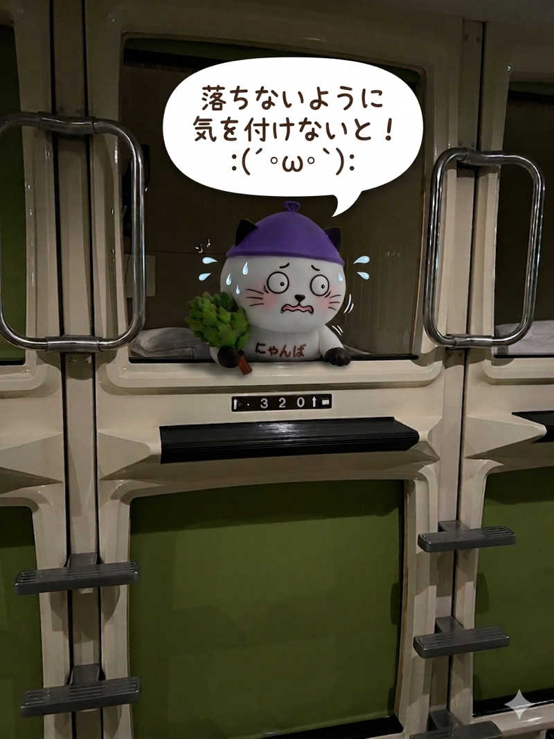 さうにゃんば^._.^さんのサウナ&カプセルホテル 北欧のサ活写真