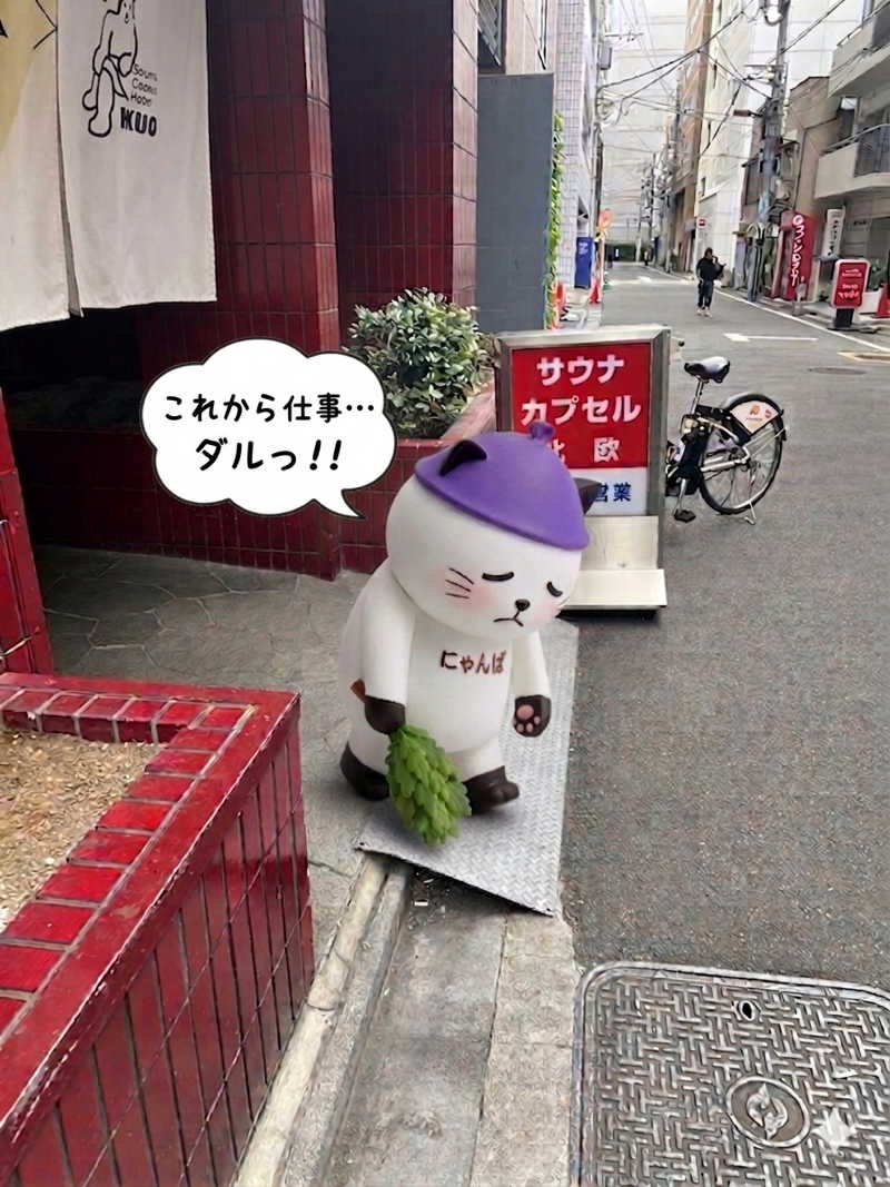 さうにゃんば^._.^さんのサウナ&カプセルホテル 北欧のサ活写真