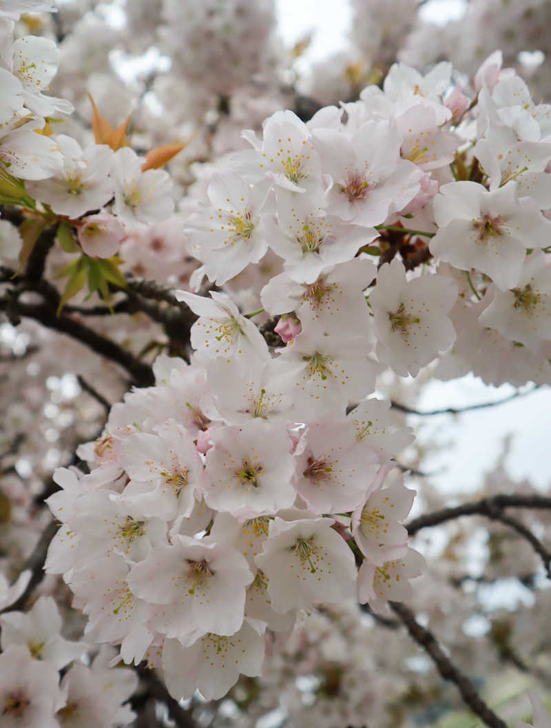saunya_no_ningenshanさんの都湯-島原-のサ活写真