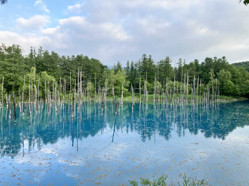 saunya_no_ningenshanさんの吹上温泉保養センター 白銀荘のサ活写真