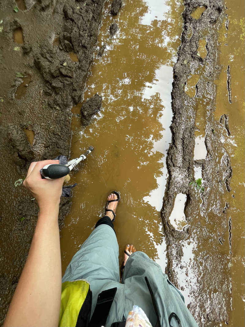 す༄さんのサウナしきじのサ活写真