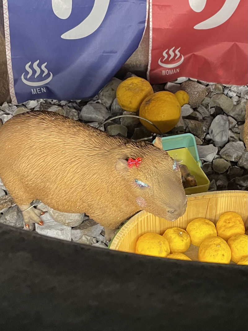 🦦さんの富士山天然水SPA サウナ鷹の湯のサ活写真