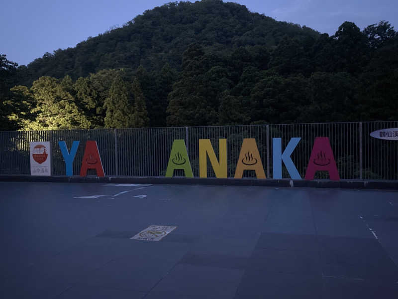 こーじさんの大江戸温泉物語Premium よしのや依緑園のサ活写真