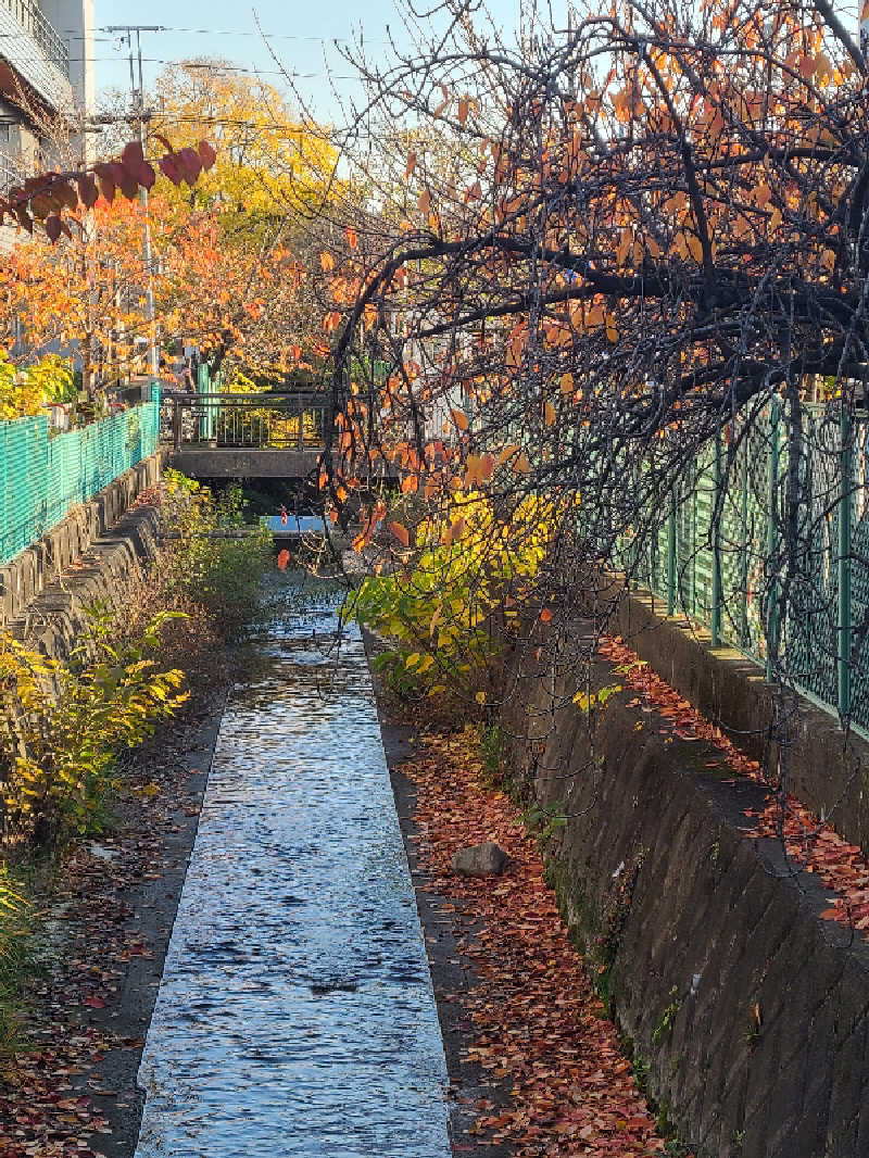 Kn1Q72さんの今井湯のサ活写真