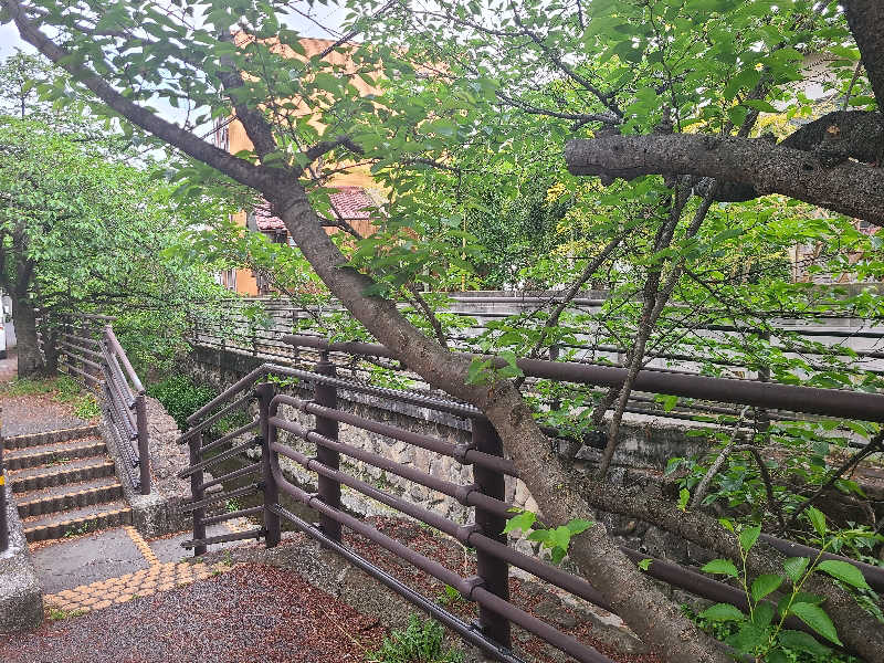 Kn1Q72さんの今井湯のサ活写真