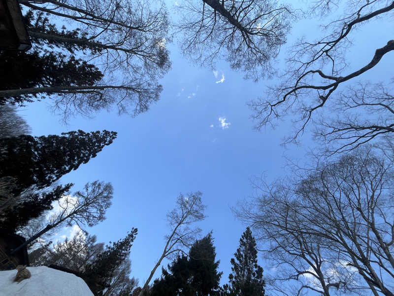 SAUNA JUNKIESさんのThe Saunaのサ活写真