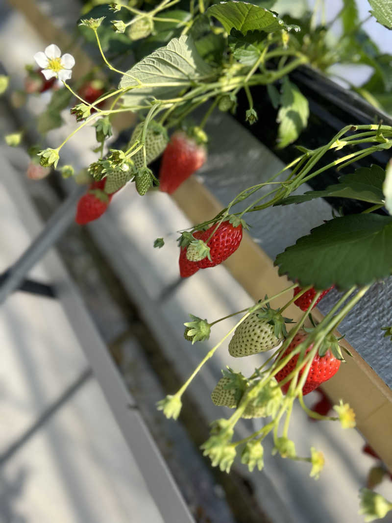 ★TAKUさんの神馬の湯のサ活写真
