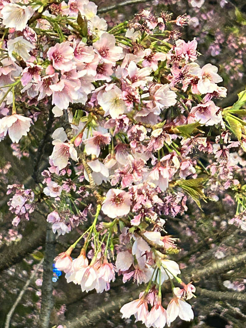 ★TAKUさんのSmart Stay SHIZUKU 上野駅前のサ活写真