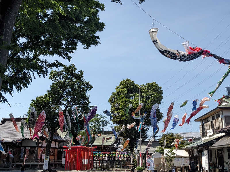 なっつるこさんのアイホテル橋本のサ活写真