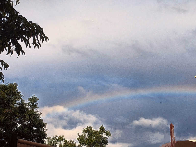 なっつるこさんのリブマックスリゾート伊東川奈のサ活写真