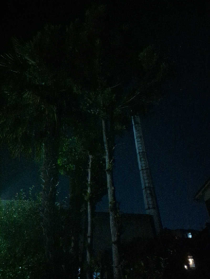 ふっくらすずめさんの兼六温泉のサ活写真