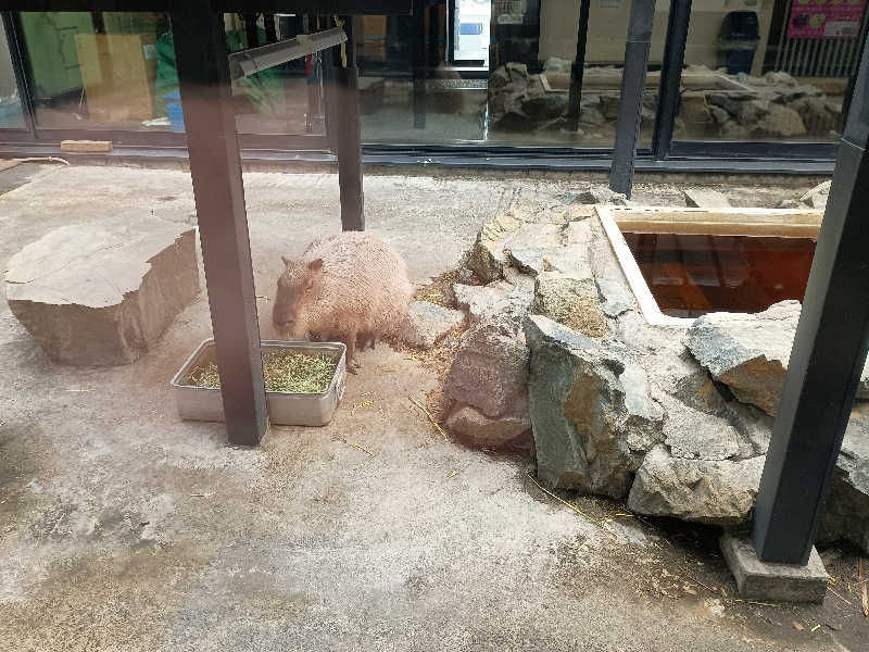 まつださんの石狩天然温泉 番屋の湯のサ活写真