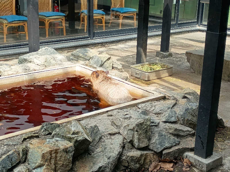 まつださんの石狩天然温泉 番屋の湯のサ活写真