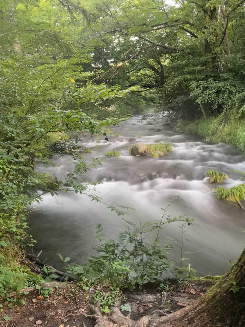 まちゃひろさんの星野温泉 トンボの湯のサ活写真