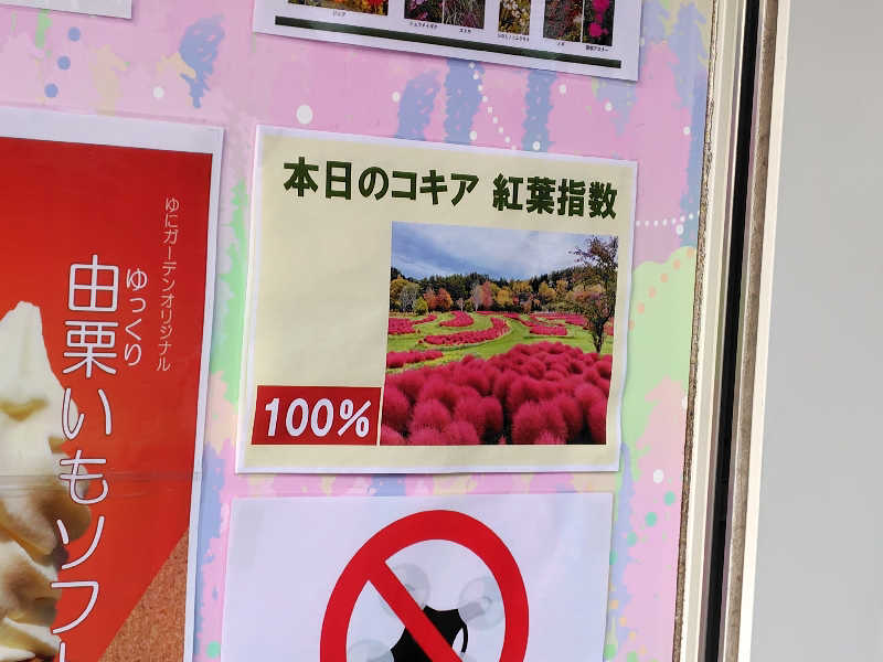 豆美さんのユンニの湯のサ活写真