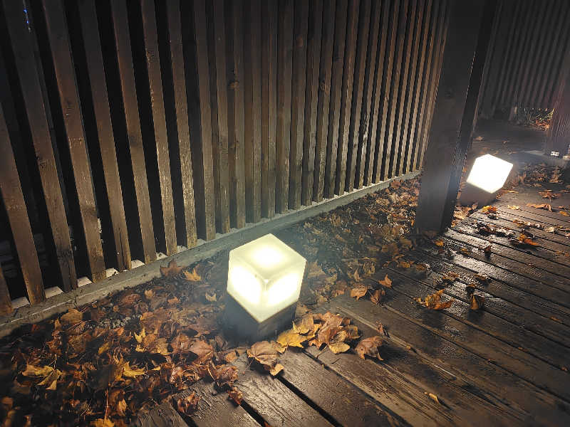 豆美さんの森林公園温泉 きよらのサ活写真