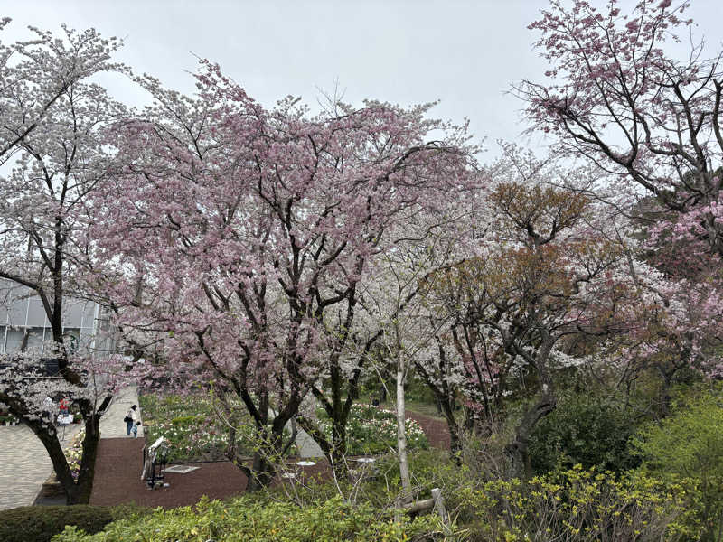 ゆきこまさんのよみうりランド眺望温泉 花景の湯のサ活写真