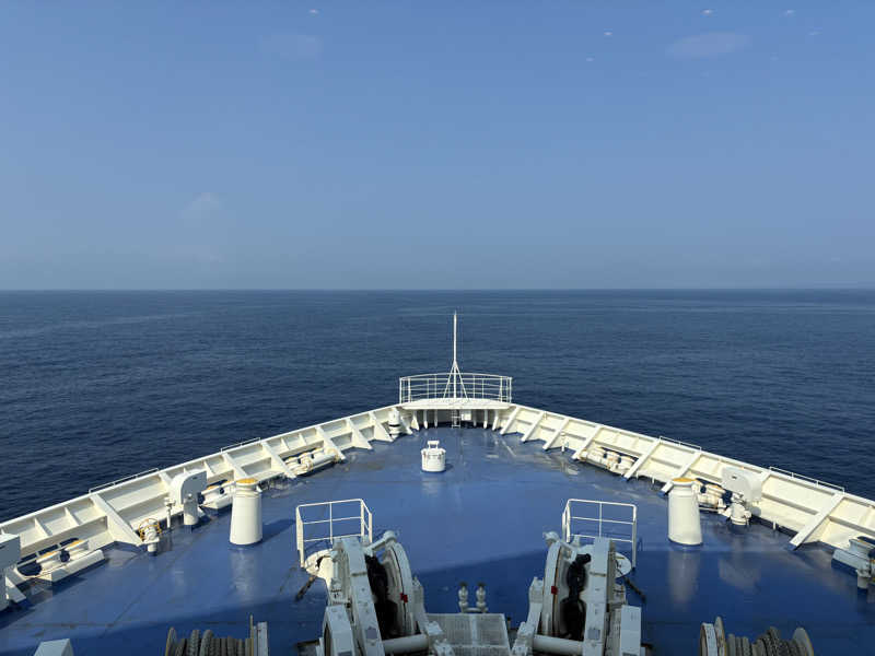 ゆきこまさんのそれいゆ(東京九州フェリー)のサ活写真