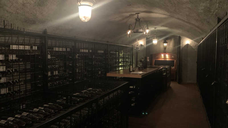 蒸しりんご🍎さんのホテルワイナリーヒル 縄文之御神湯のサ活写真