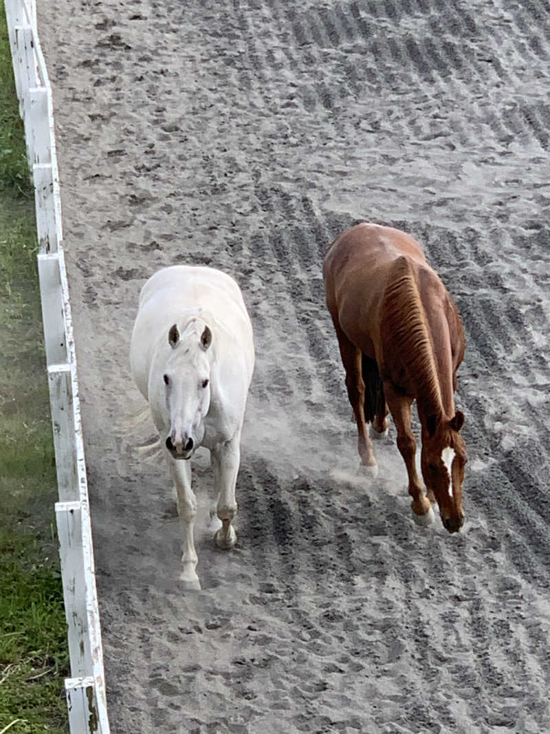 蒸しりんご🍎さんのホテルワイナリーヒル 縄文之御神湯のサ活写真