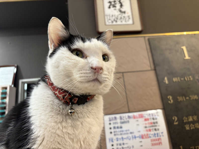 しろくまさんの行田・湯本天然温泉 茂美の湯のサ活写真