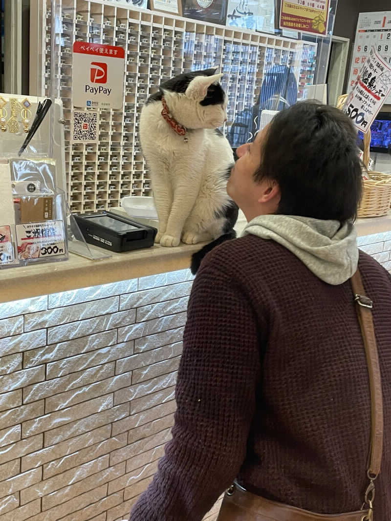 しろくまさんの行田・湯本天然温泉 茂美の湯のサ活写真