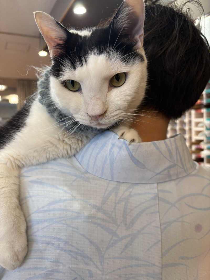 しろくまさんの行田・湯本天然温泉 茂美の湯のサ活写真
