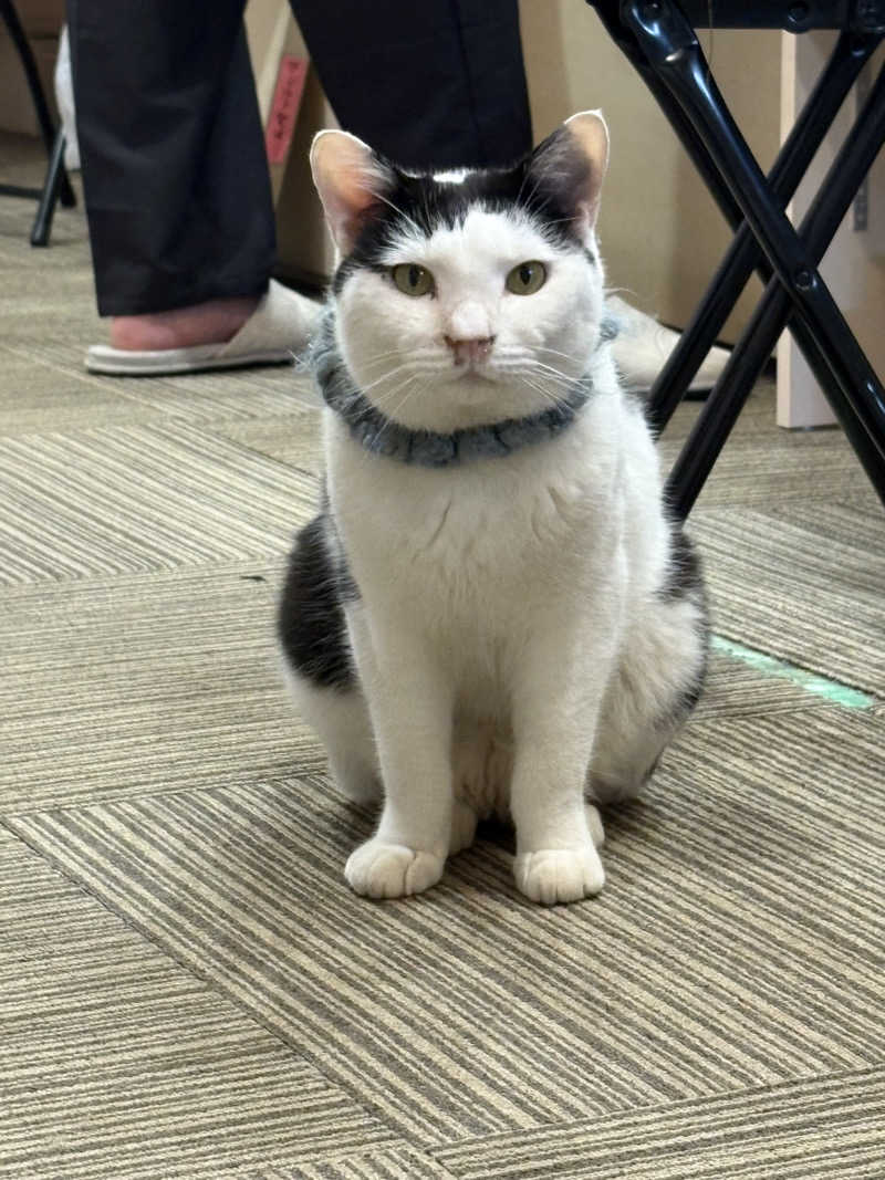 しろくまさんの行田・湯本天然温泉 茂美の湯のサ活写真