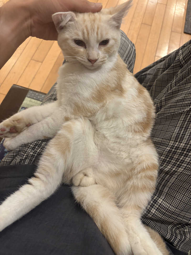 しろくまさんの行田・湯本天然温泉 茂美の湯のサ活写真