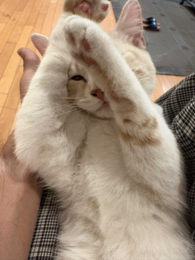 しろくまさんの行田・湯本天然温泉 茂美の湯のサ活写真