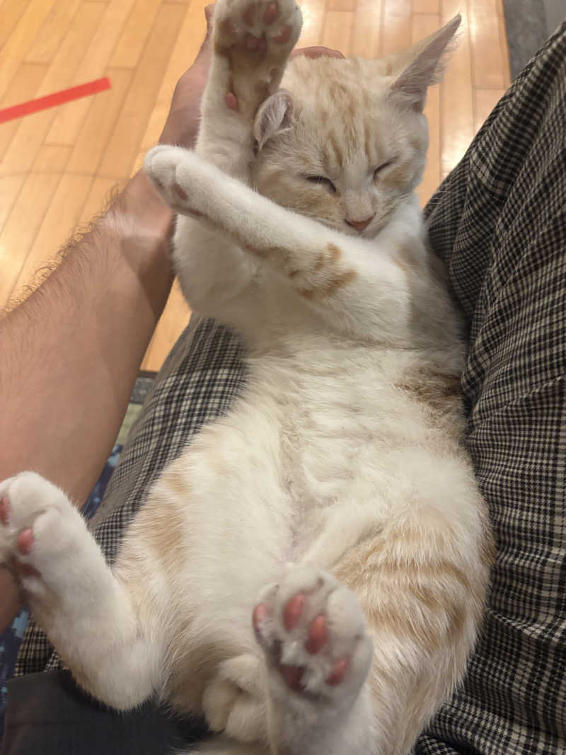 しろくまさんの行田・湯本天然温泉 茂美の湯のサ活写真