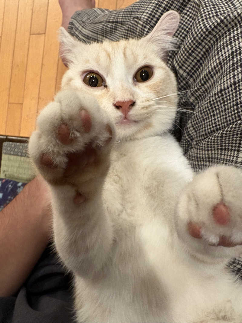 しろくまさんの行田・湯本天然温泉 茂美の湯のサ活写真