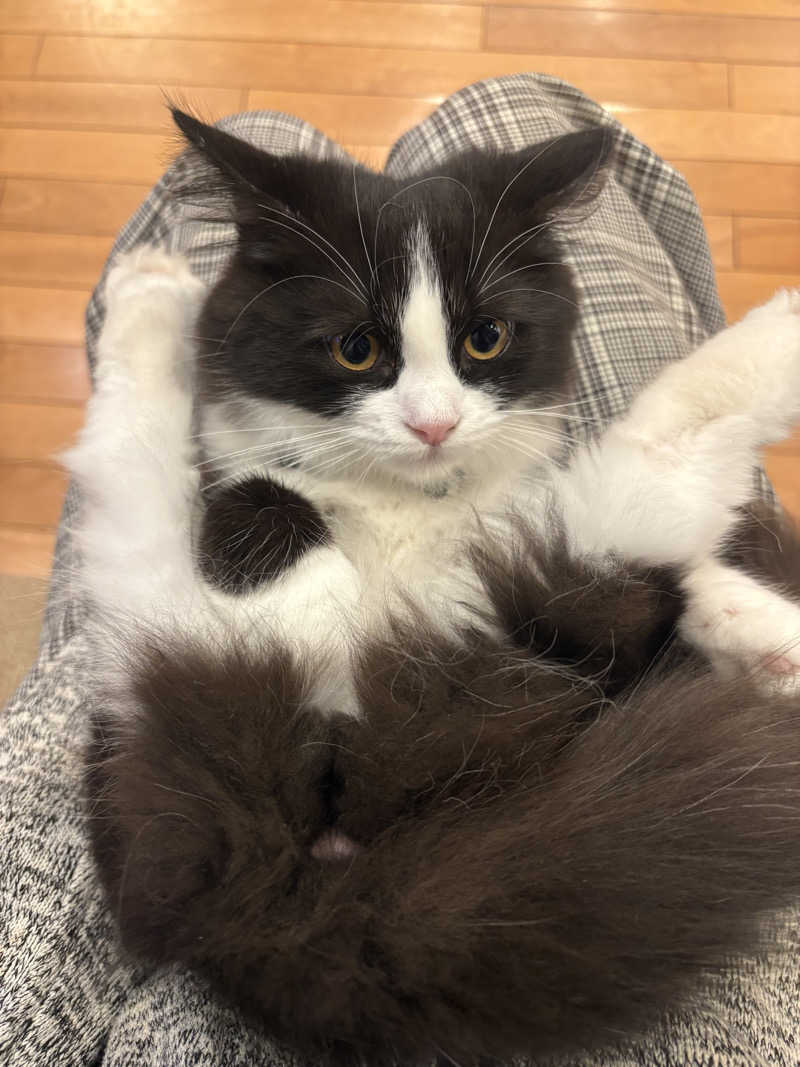 しろくまさんの行田・湯本天然温泉 茂美の湯のサ活写真