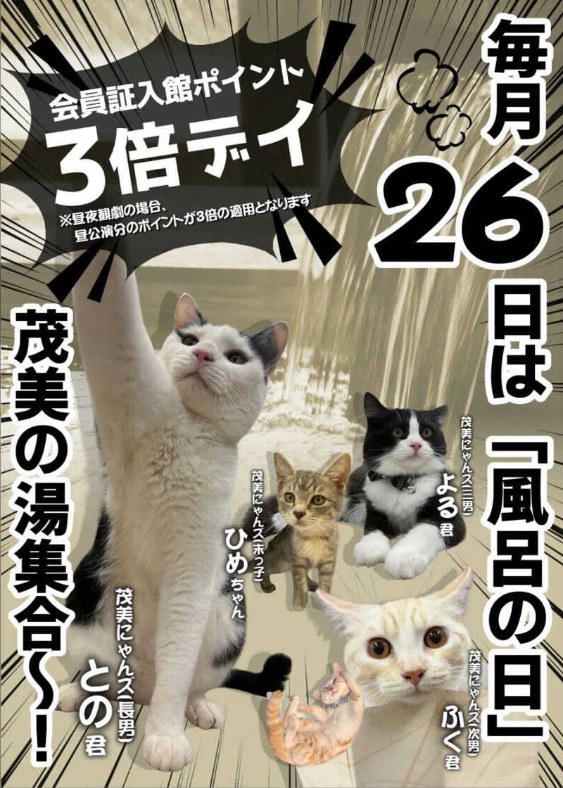 しろくまさんの行田・湯本天然温泉 茂美の湯のサ活写真