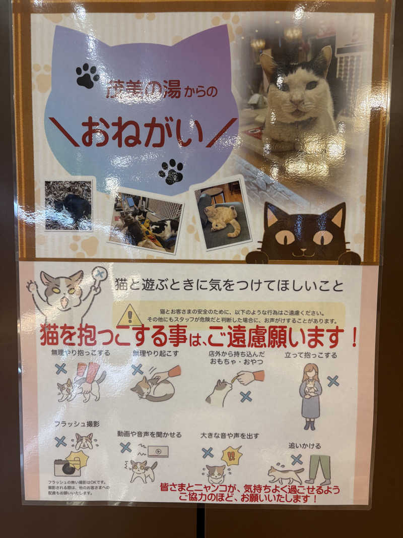 しろくまさんの行田・湯本天然温泉 茂美の湯のサ活写真