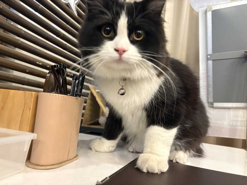 しろくまさんの行田・湯本天然温泉 茂美の湯のサ活写真