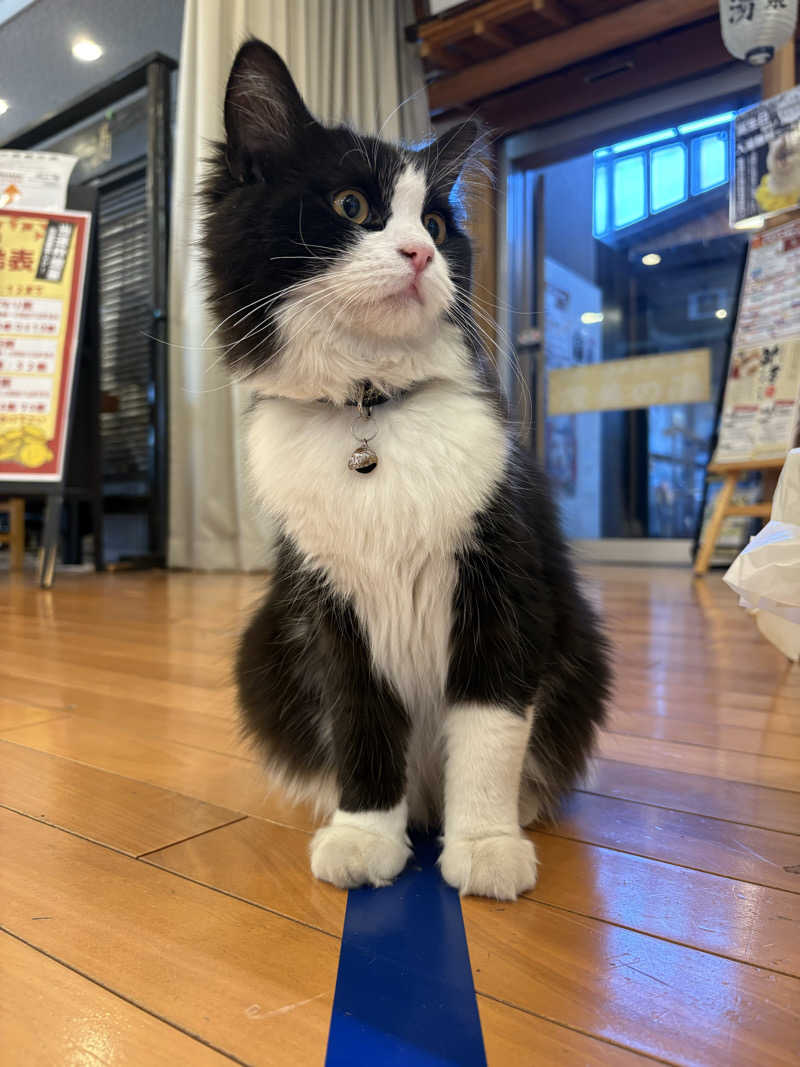 しろくまさんの行田・湯本天然温泉 茂美の湯のサ活写真