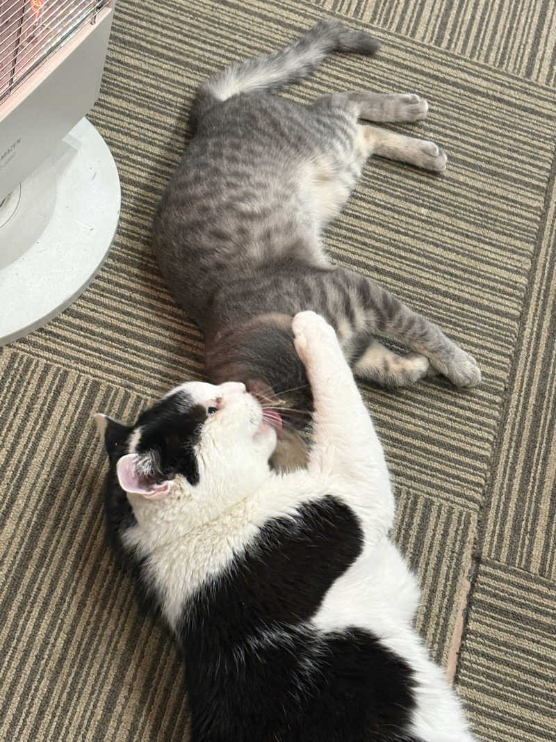 しろくまさんの行田・湯本天然温泉 茂美の湯のサ活写真