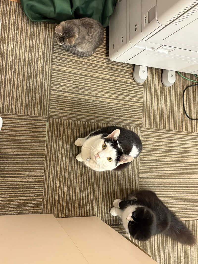 しろくまさんの行田・湯本天然温泉 茂美の湯のサ活写真