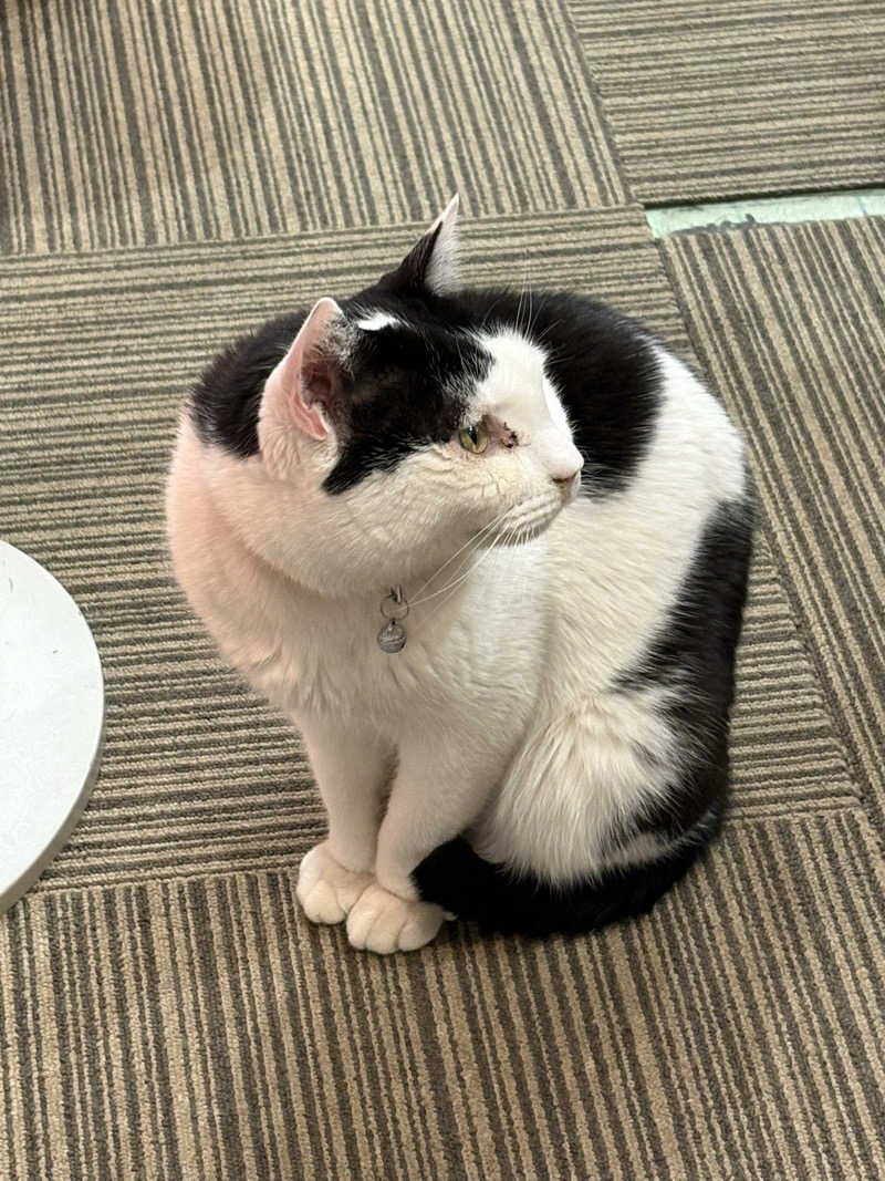しろくまさんの行田・湯本天然温泉 茂美の湯のサ活写真